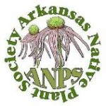 anps1